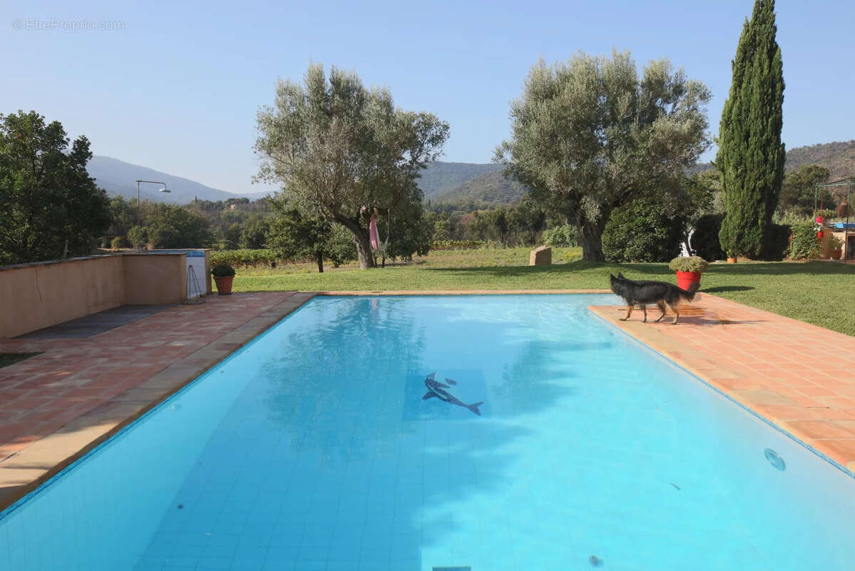 Villa de 200 m2 environ avec grand terrain de 2200 m2 et piscine cogolin - photo 3