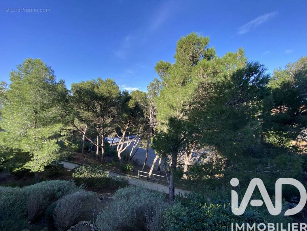 Photo 8 - Appartement à FLEURY