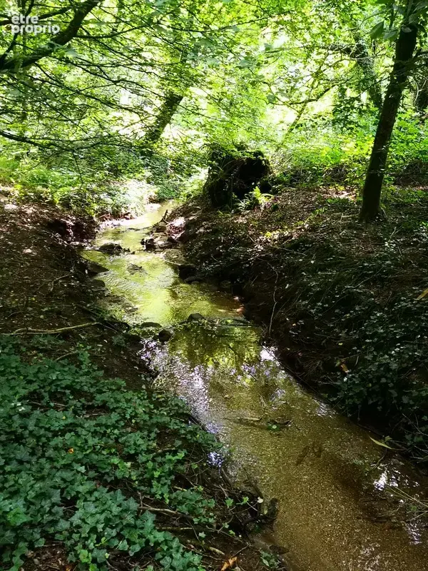 cadre bucolique pour ce domaine compose de 3 maisons sur 15 000 m2 - photo 14