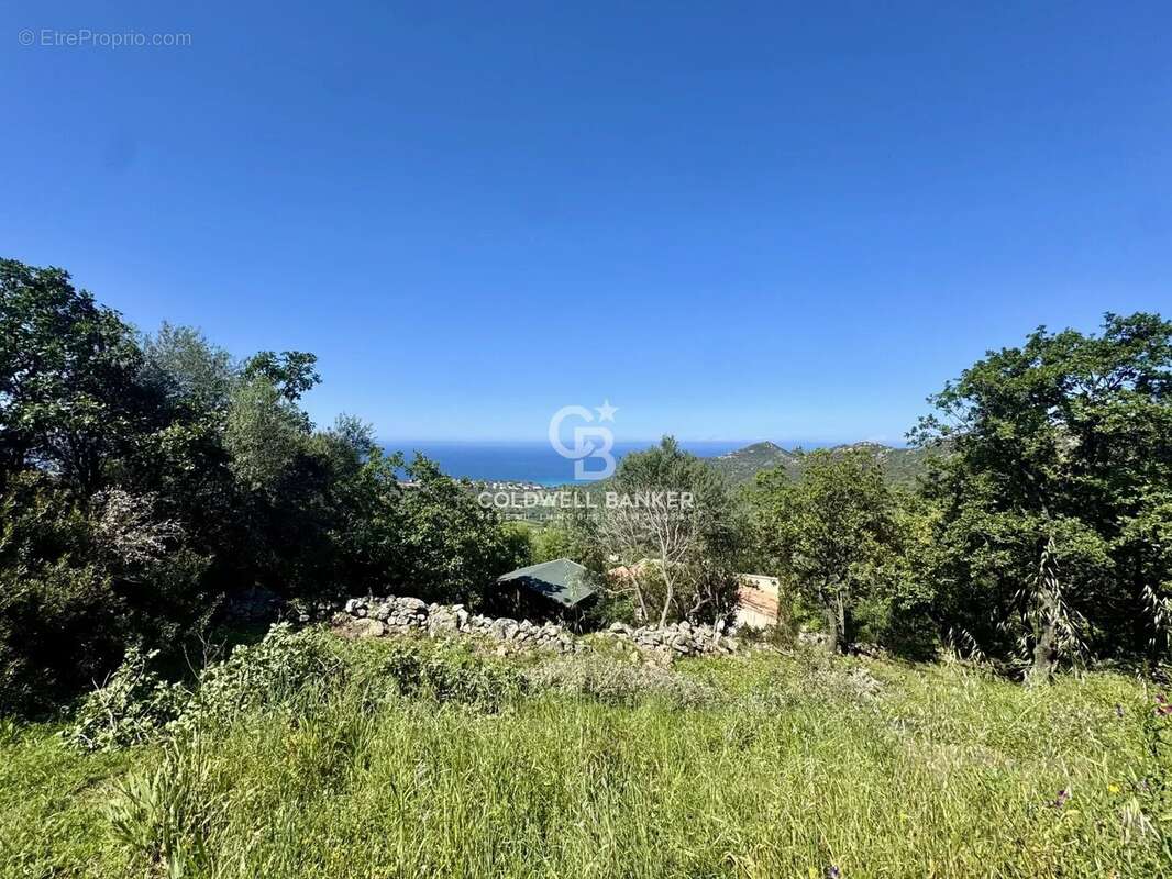 Terrain à MONTICELLO