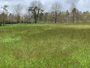 Terrain à SAINT-BONNET-SUR-GIRONDE