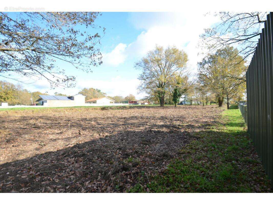 Terrain à PORCHERES