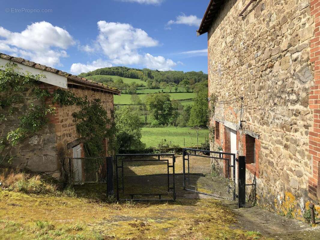 Photo 4 - Maison à AMPLEPUIS