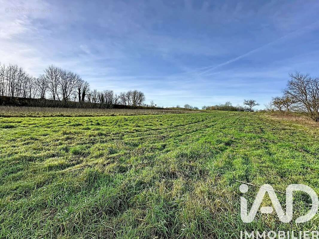 Photo 9 - Maison à DONNEMARIE-DONTILLY