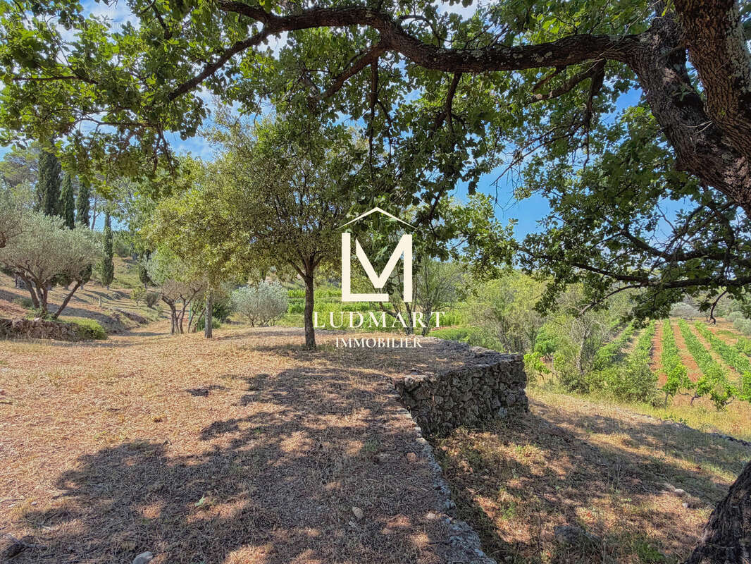 Lorgues   Domaine provençal de 11 hectares avec deux maisons indépendantes, deux piscines, vignoble AOP et oliveraie - photo 14