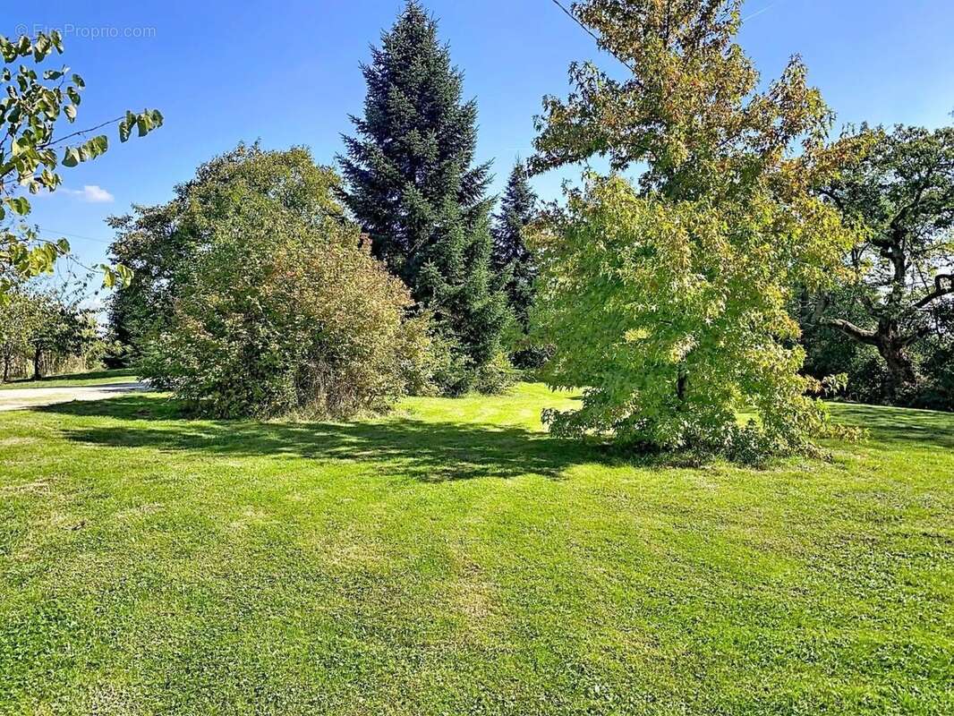 Photo 3 - Maison à MASSEUBE