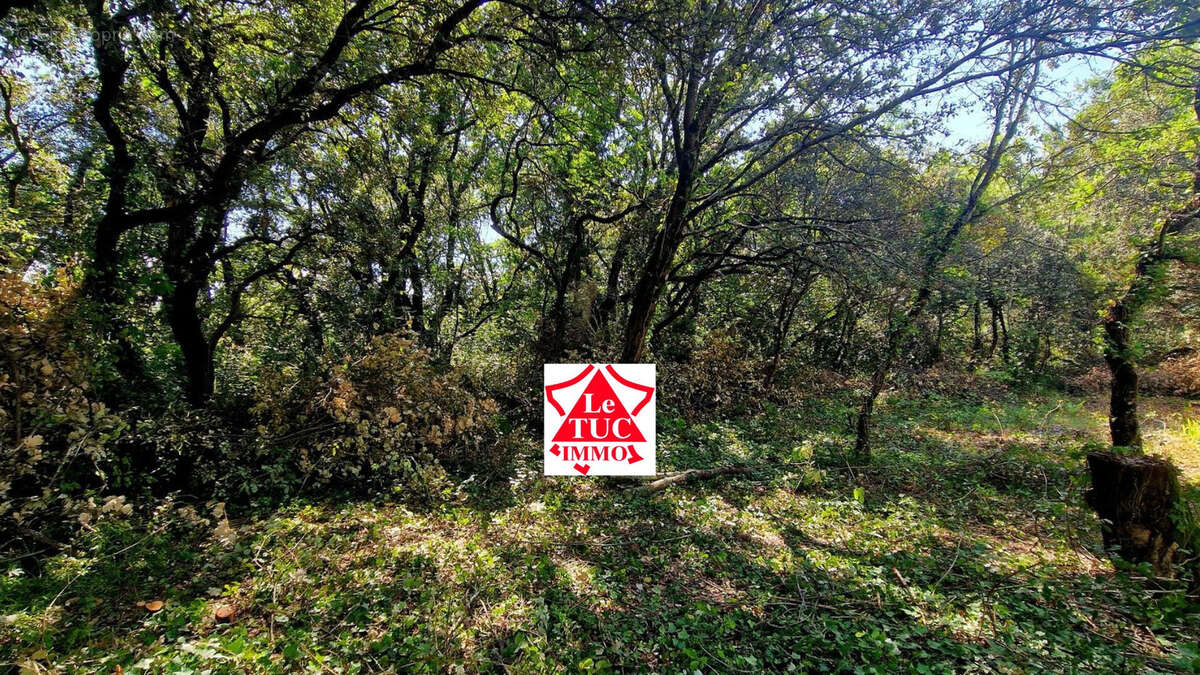 Maison à LA BAUME-DE-TRANSIT