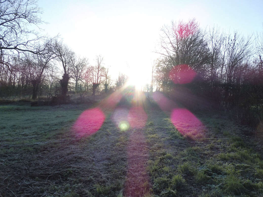Terrain à AZAY-LE-BRULE