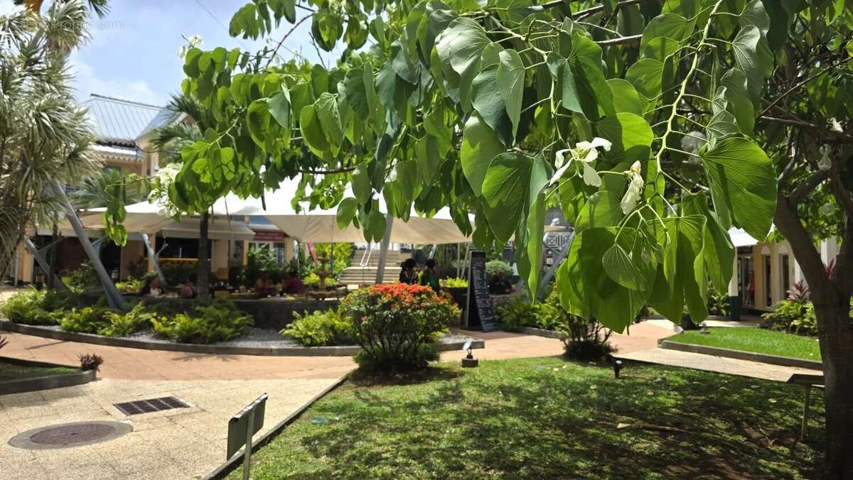 Commerce à LES TROIS-ILETS