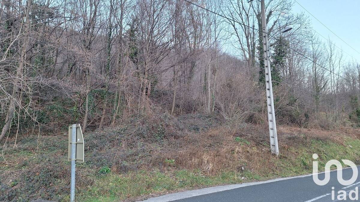 Photo 1 - Terrain à PRATS-DE-MOLLO-LA-PRESTE