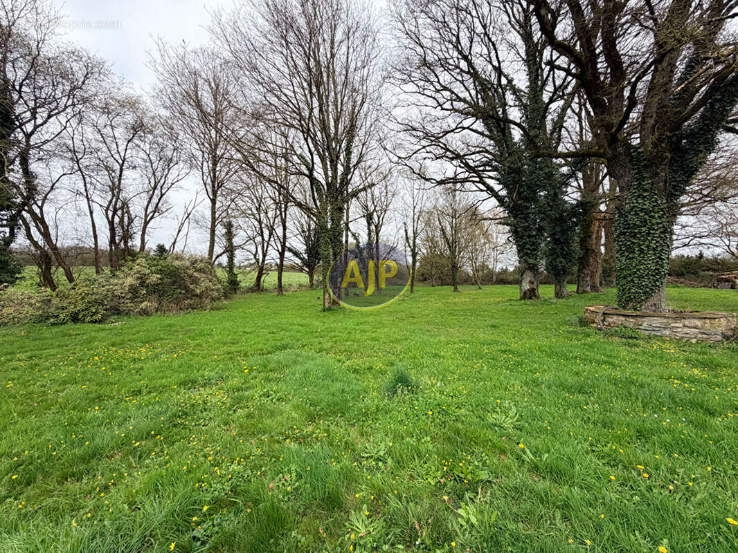 Maison à GRAND-FOUGERAY