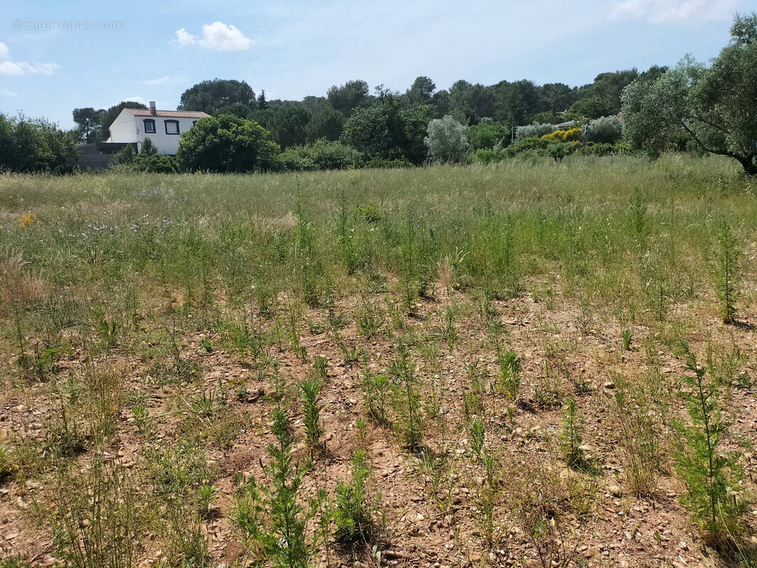 Terrain à CLERMONT-L'HERAULT