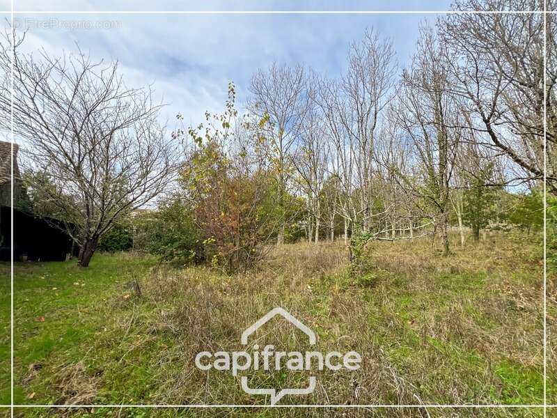 Maison à CASTELCULIER