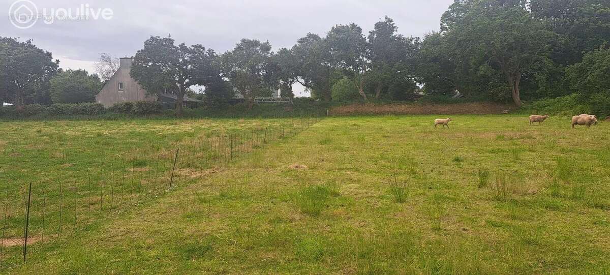 Terrain à LE CONQUET