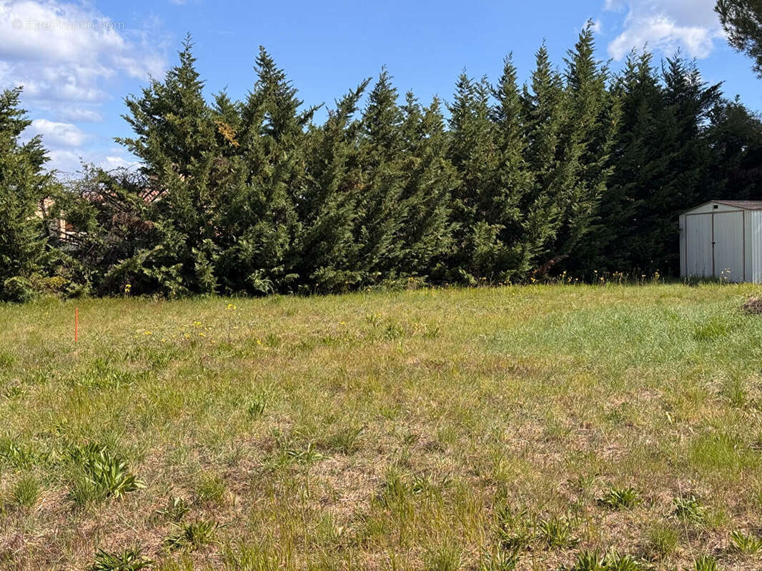 Terrain à SAINT-CHRISTOL-LES-ALES