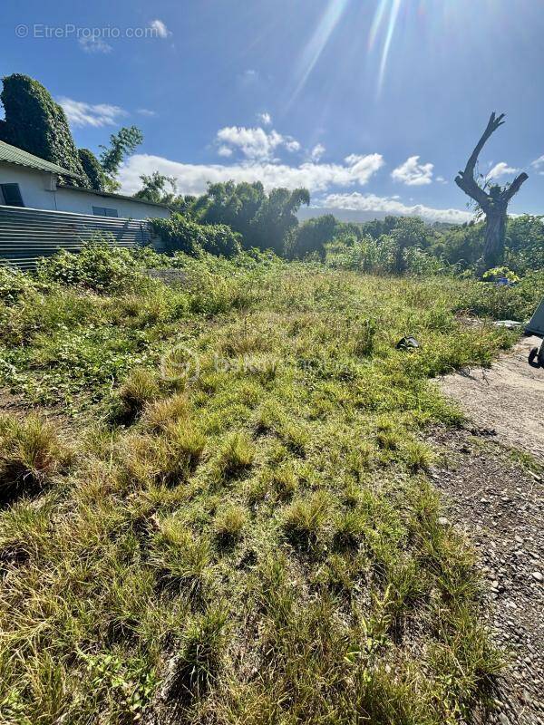 Terrain à SAINT-ANDRE