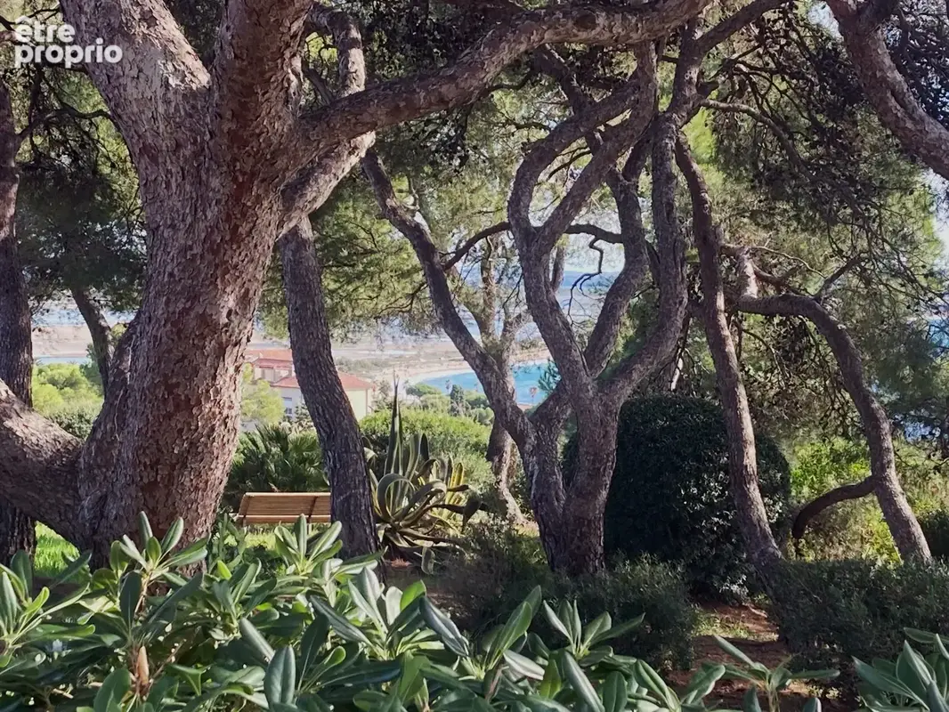 HYÈRES   ALMANARRE / COSTEBELLE T2 vue mer terrasse et jardin - photo 13