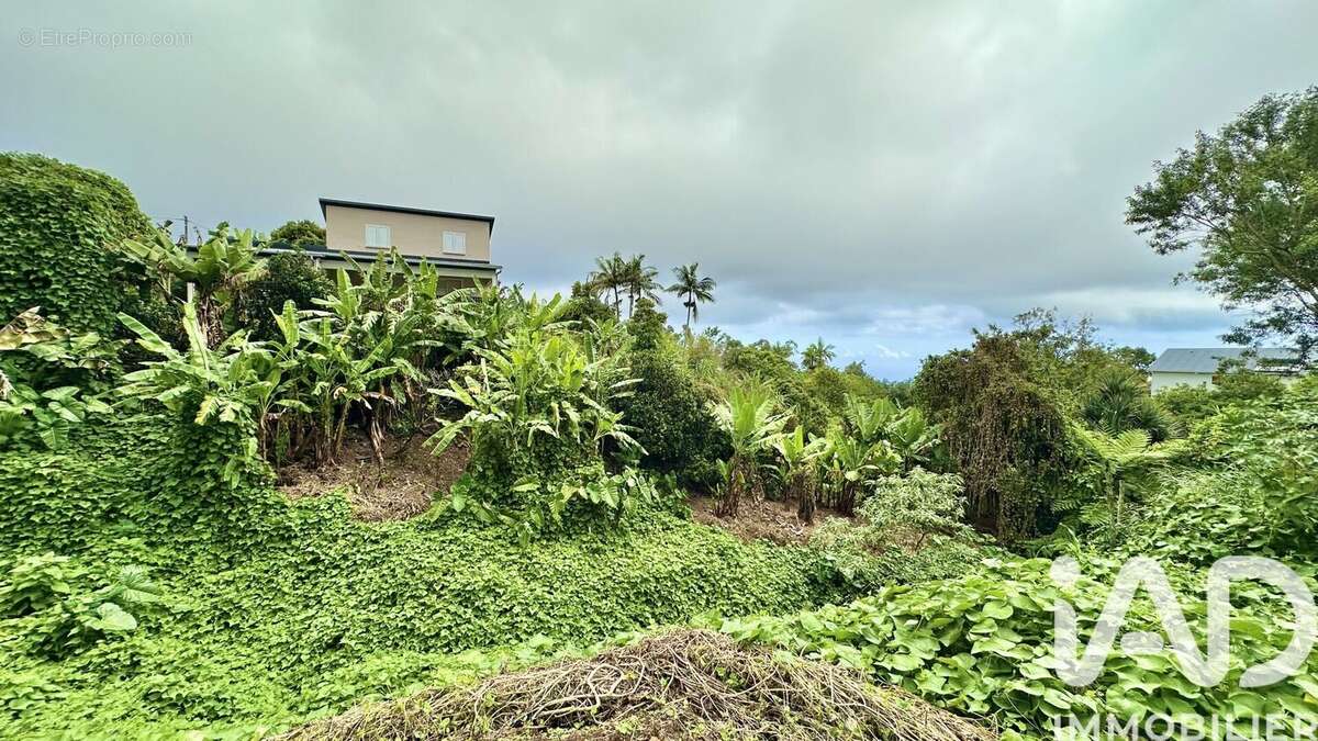 Photo 2 - Maison à PETITE-ILE