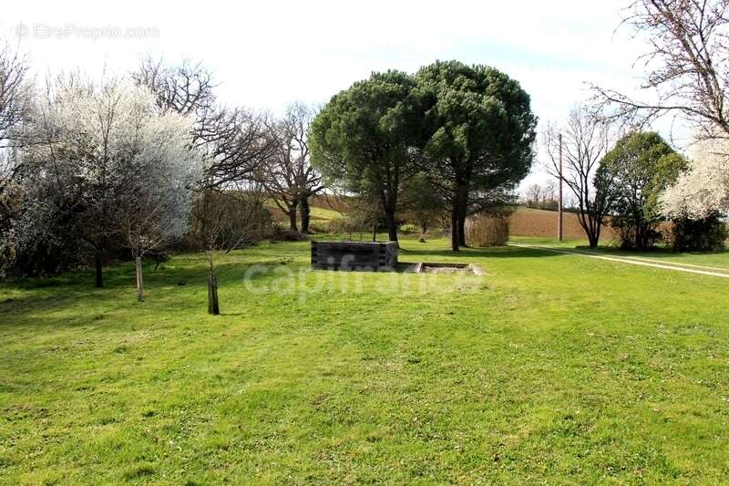 Maison à SAINT-CLAR