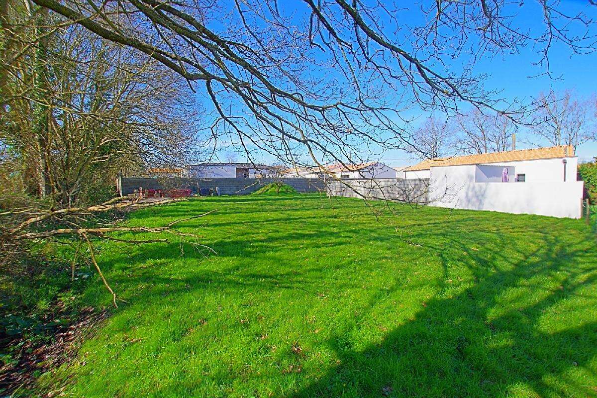 Terrain à SAINTE-FOY