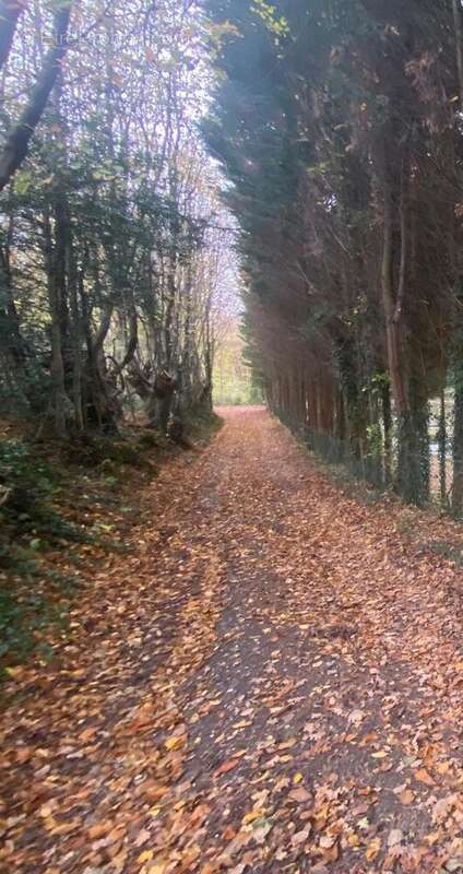 Photo 3 - Terrain à DOHEM