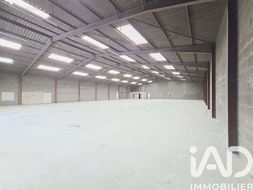 Photo 4 - Appartement à MOZE-SUR-LOUET