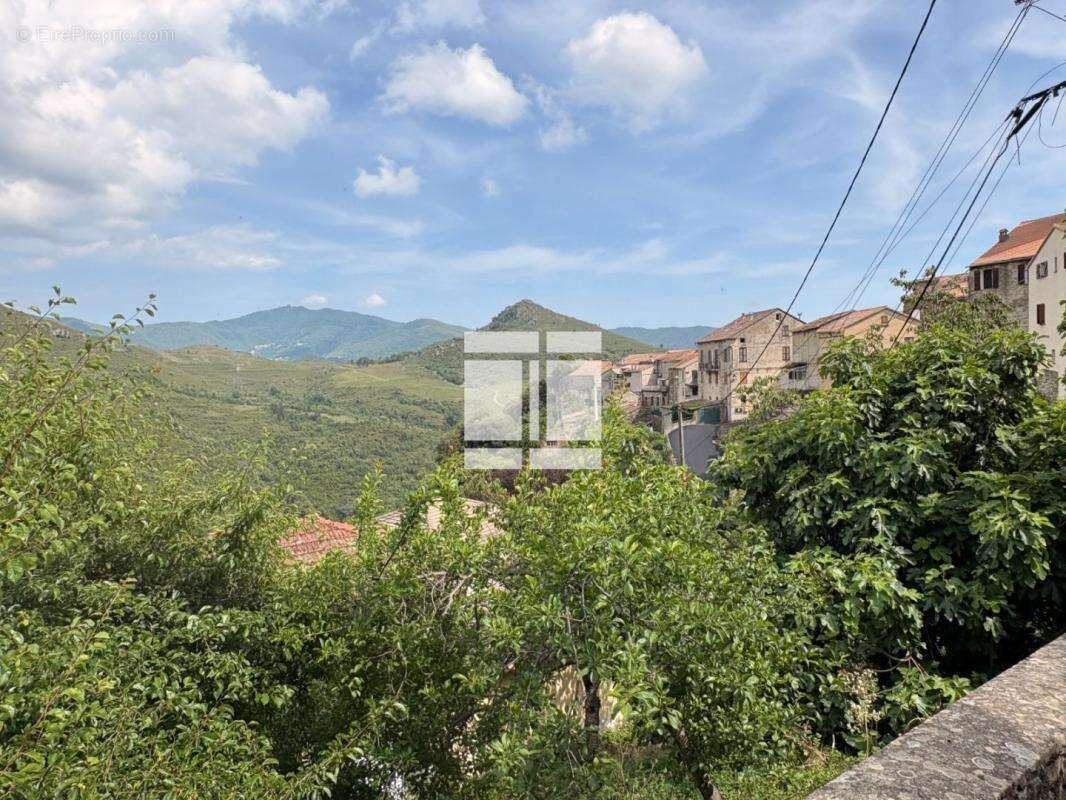 Maison de village coup de coeur - castellare di mercurio - photo 16
