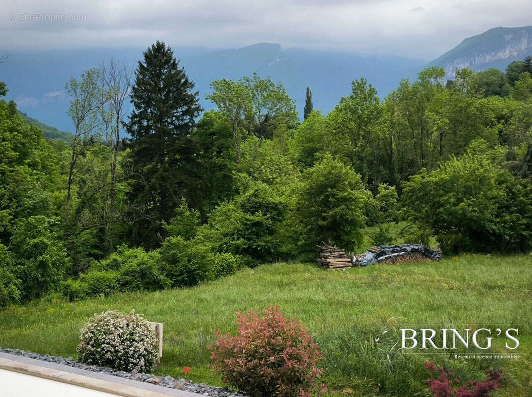 Terrain à POMMIERS-LA-PLACETTE