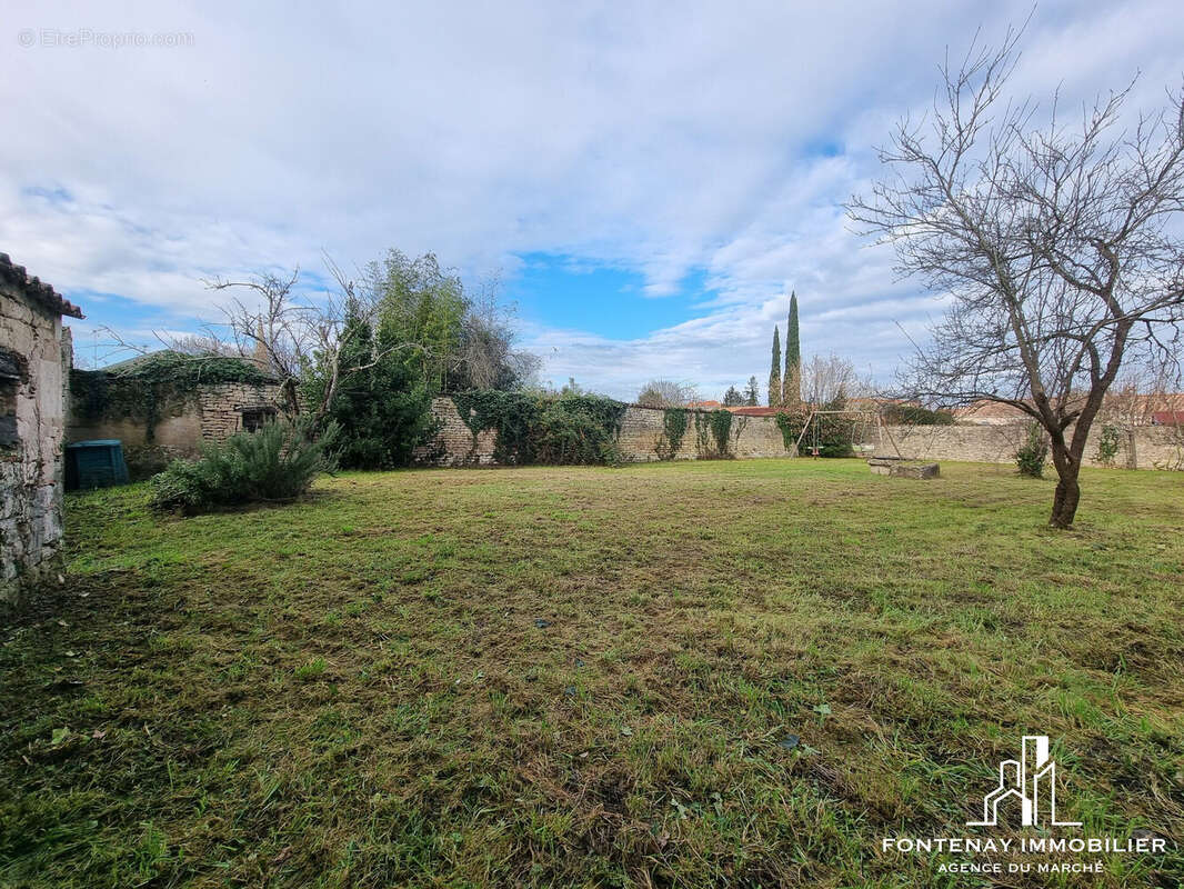 Maison à FONTENAY-LE-COMTE