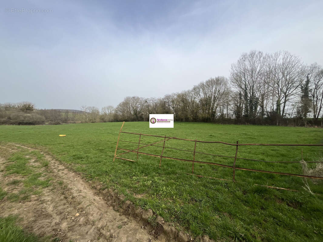 Terrain à SAINTE-SCOLASSE-SUR-SARTHE
