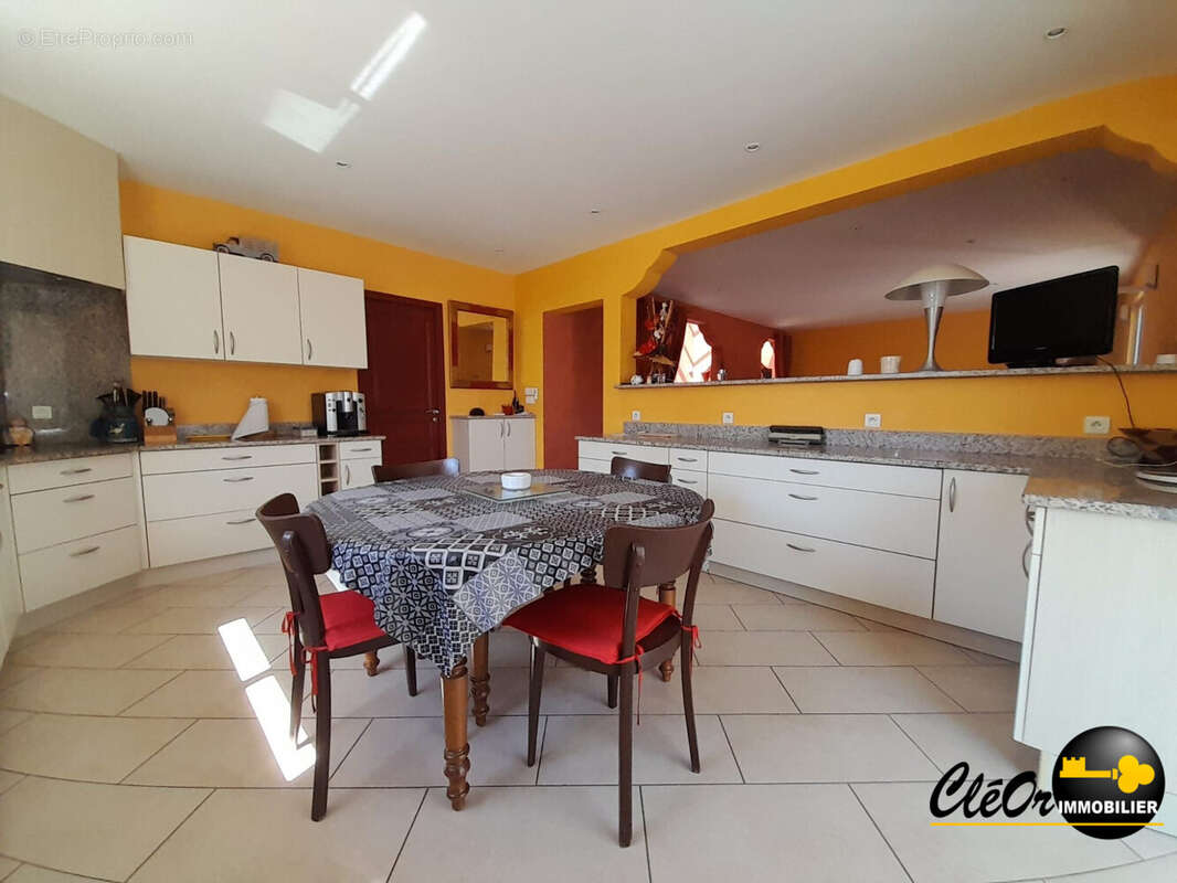 Maison 245 m² à Saint-Usage  - photo 4