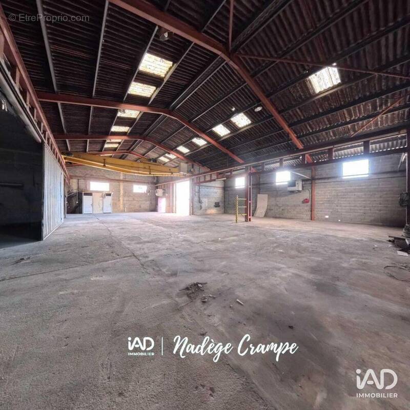 Photo 1 - Commerce à IBOS