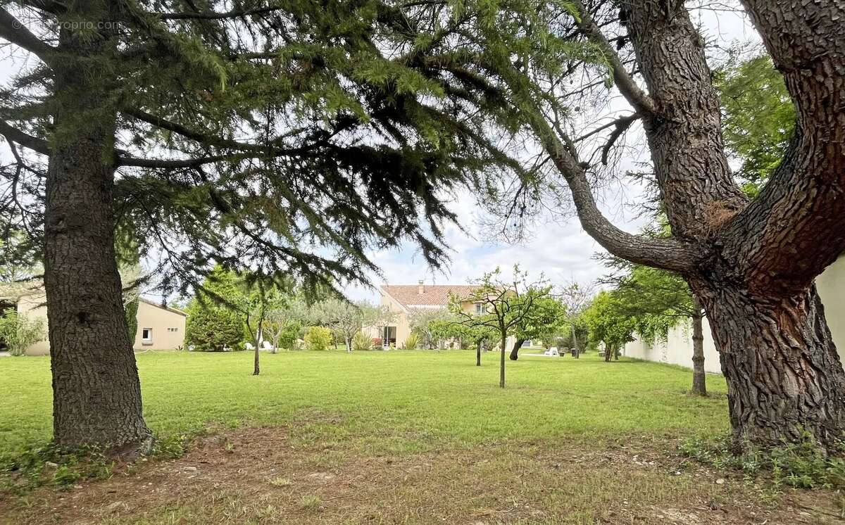 Maison à L'ISLE-SUR-LA-SORGUE