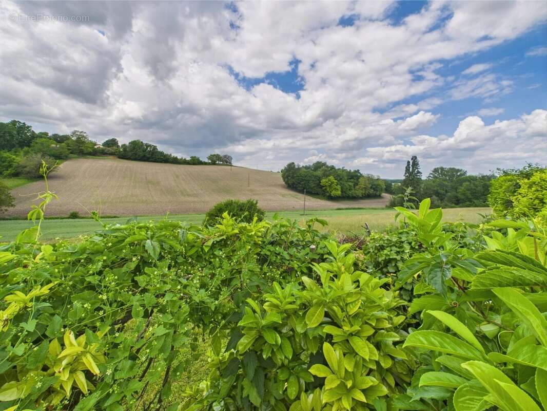 Maison à VERTEILLAC