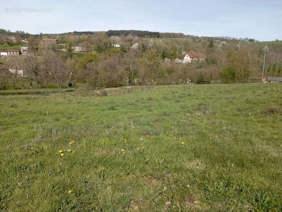 Terrain à FERRIERES-SUR-SICHON