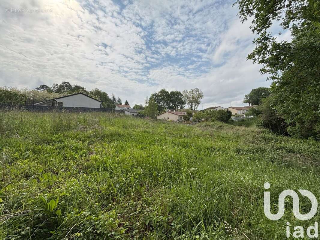 Photo 4 - Terrain à CHAMPCEVINEL