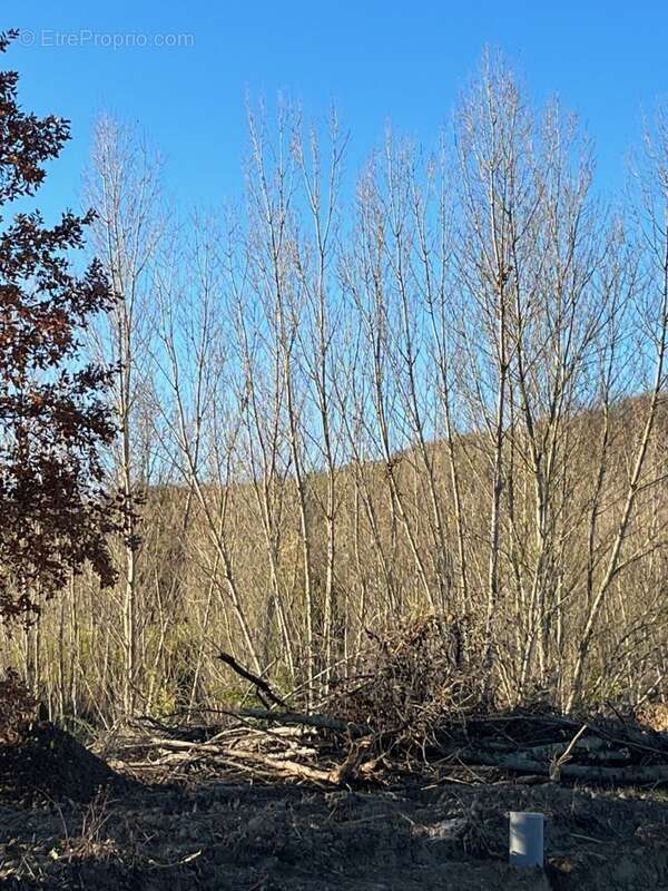 Terrain à SAINT-SULPICE