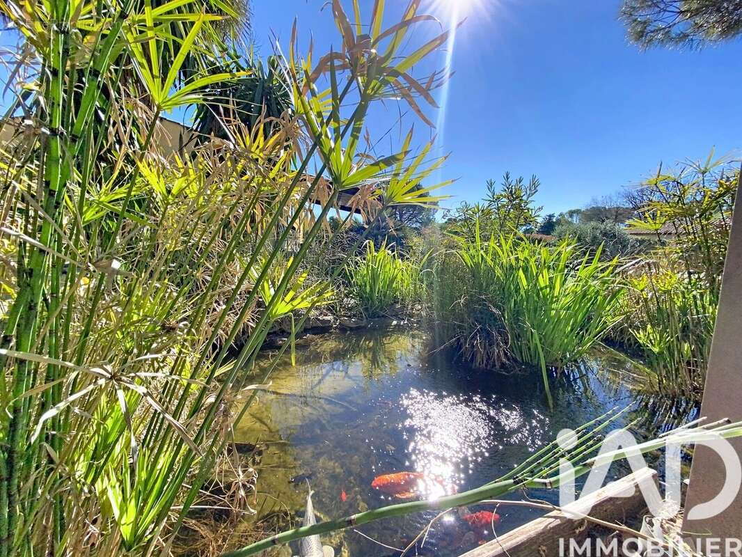 Photo 5 - Maison à BAGNOLS-EN-FORET