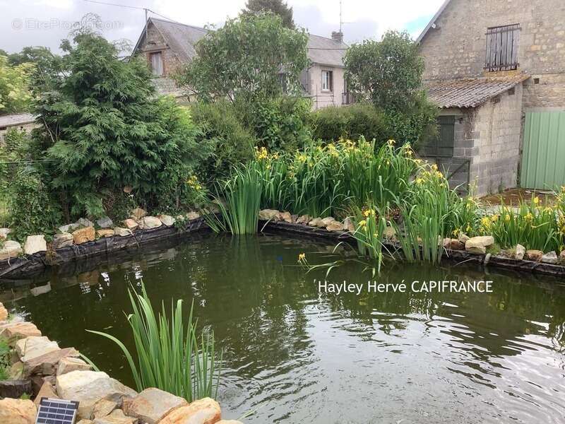 Propriété À VENDRE avec maison et gîte indépendant, dépendances et terrain de 5 000 m² – Mortain LE NEUFBOURG (50) - Mortain - photo 8