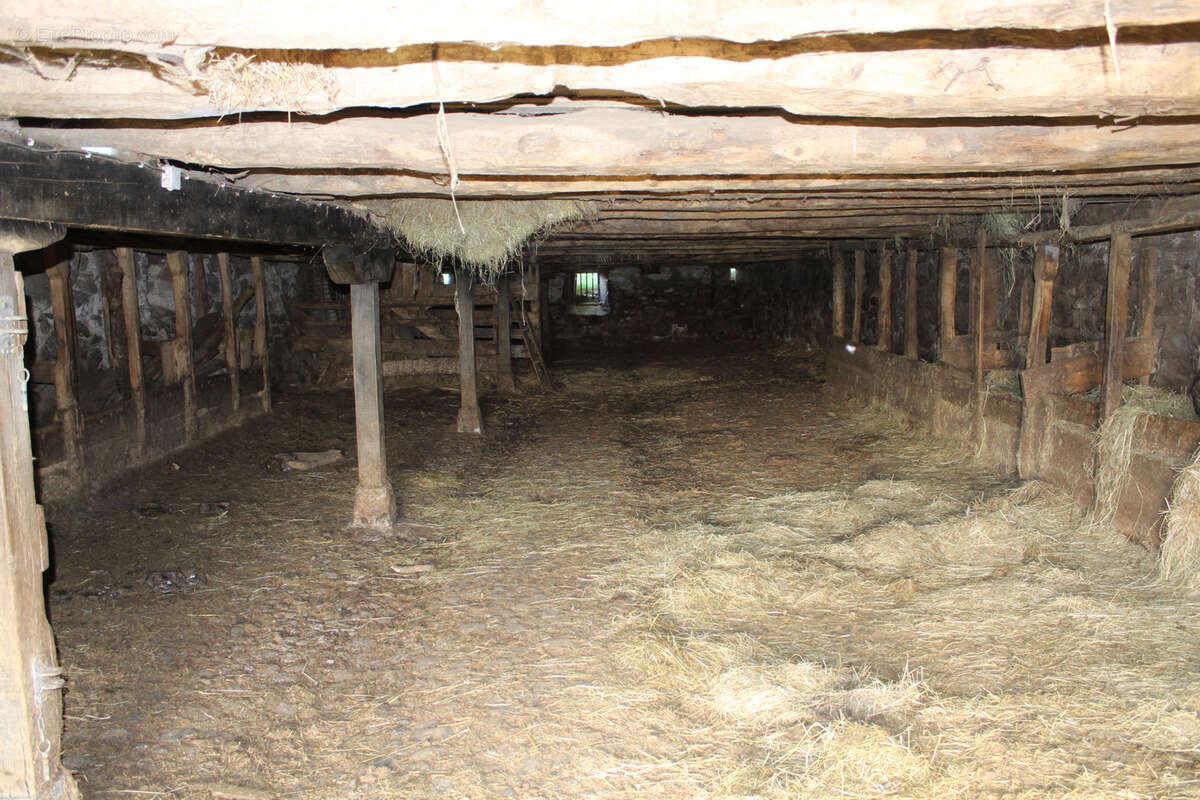 Maison à ANGLARDS-DE-SALERS