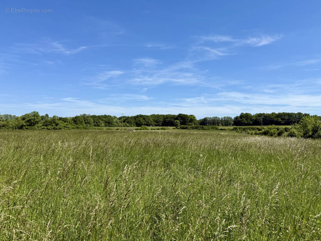 Terrain à SAINT-JEAN-DE-BONNEVAL