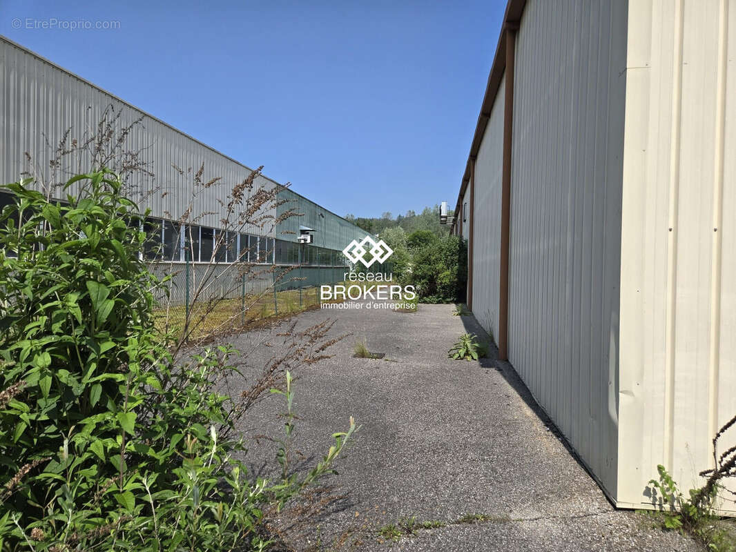 Commerce 3538 m² à Groissiat  - photo 7