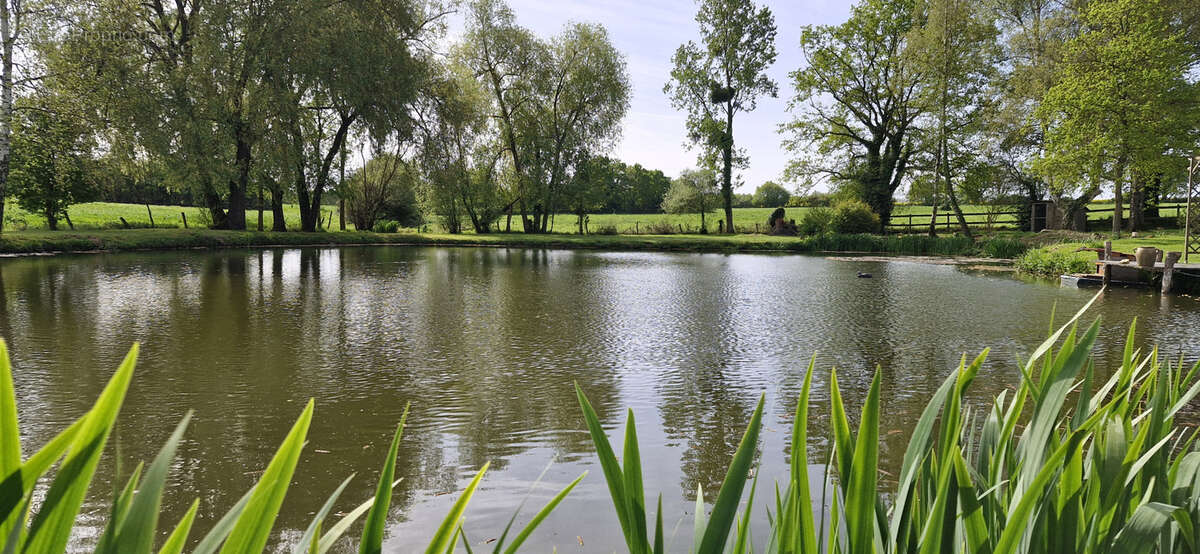 Maison à LE LION-D'ANGERS