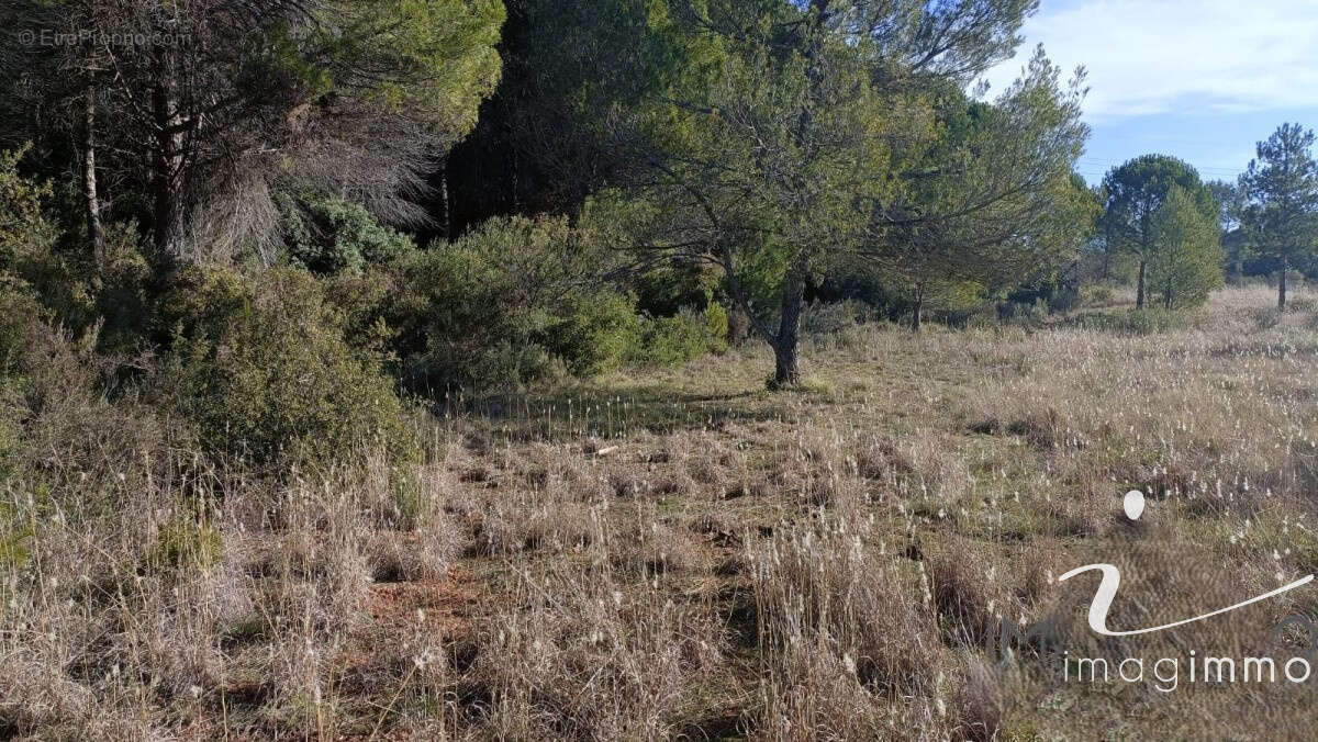 Vente terrain agricole - photo 4