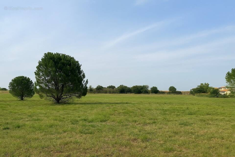 Terrain à SAINT-JEAN-LASSEILLE