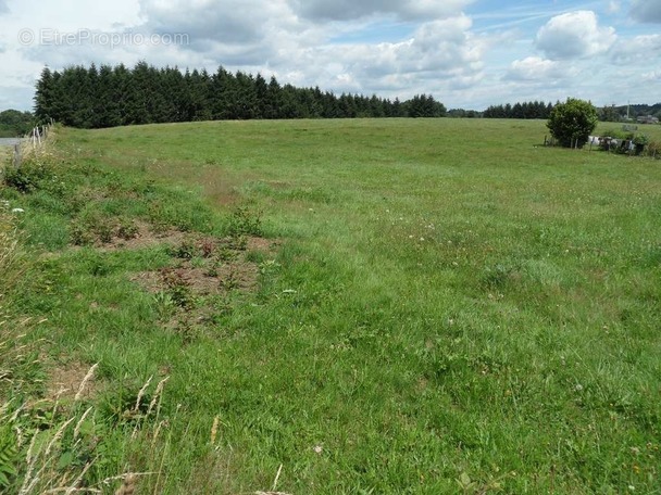 Terrain à SAINT-YRIEIX-LA-PERCHE
