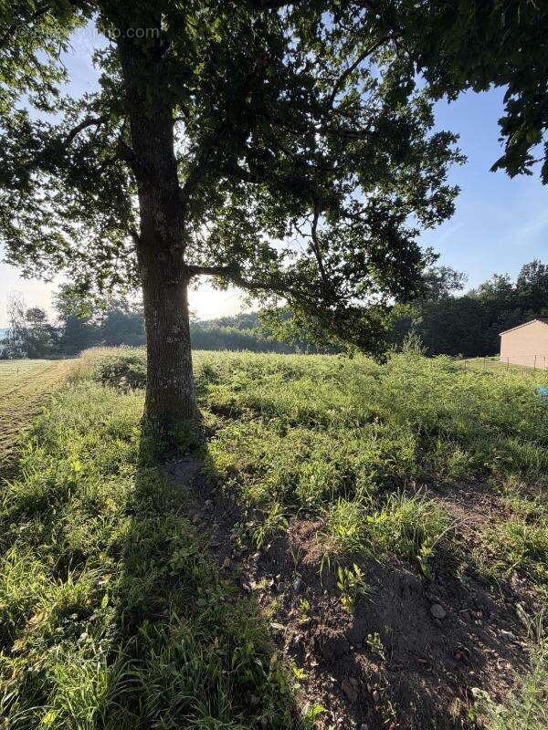 Terrain 2241 m² à Royeres  - photo 3