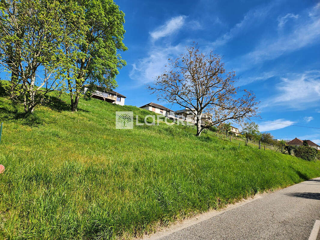 Terrain à FRENEUSE