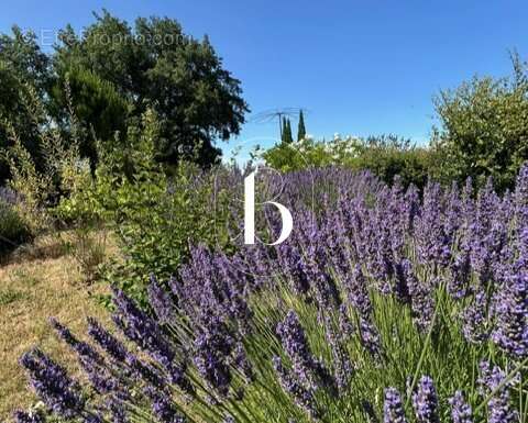 Maison à SAINT-PAULET-DE-CAISSON