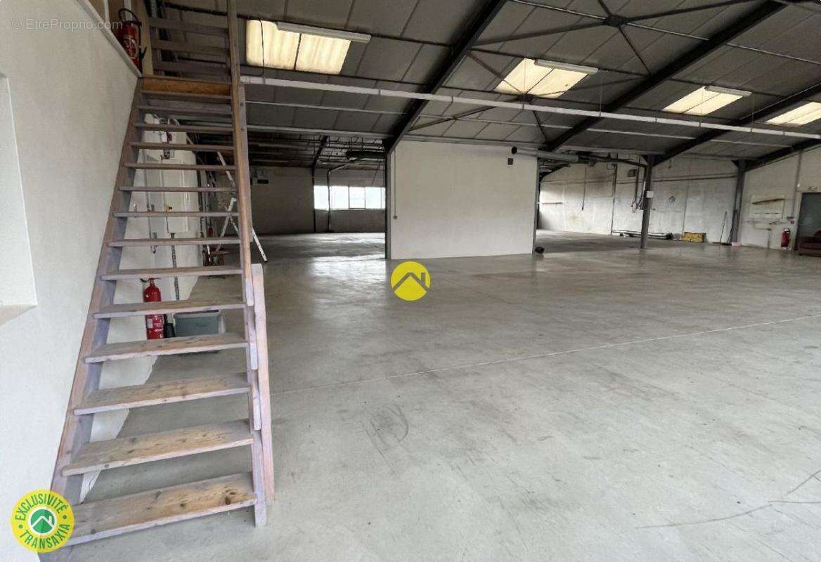 Commerce à PUY-GUILLAUME